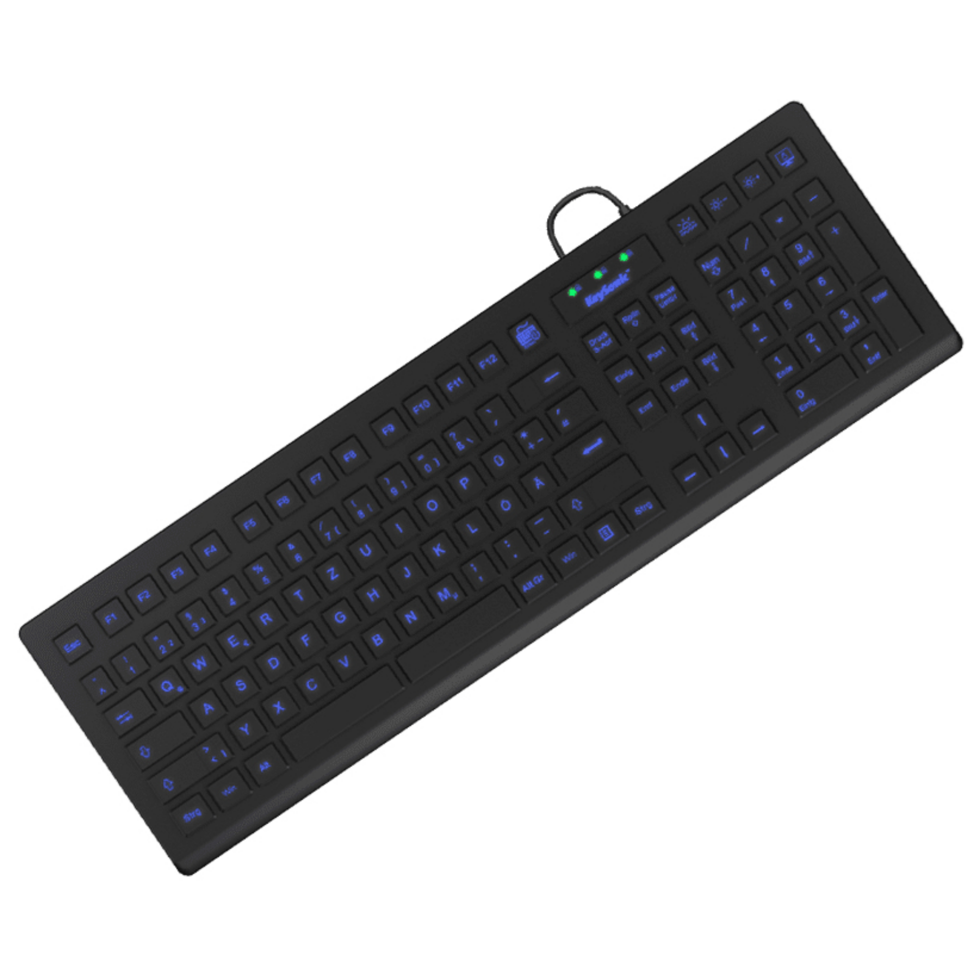 KeySonic KSK-8031INEL-B (DE) Hygienetastatur, Industrietastatur, USB, Beleuchtung, schwarz, Volle Gr