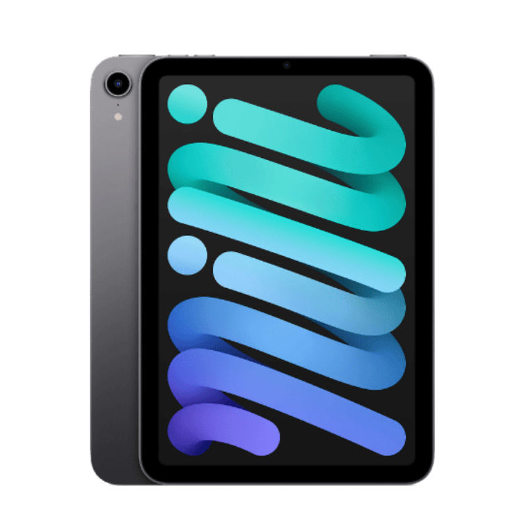 iPad mini 6 256 GB Grigio siderale Wi-Fi A Ricondizionato
