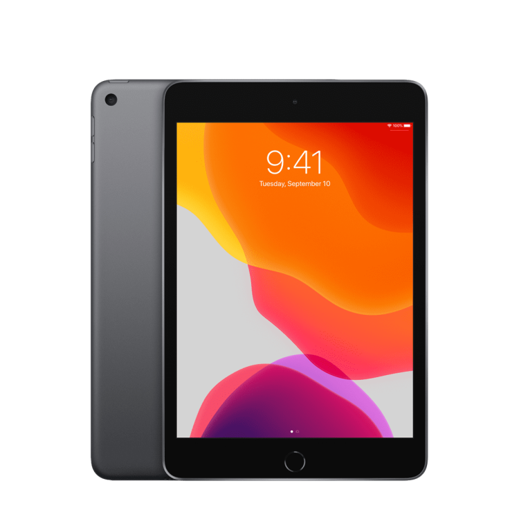 iPad mini 5 256 GB Grigio siderale Wi-Fi + Cell A Ricondizionato