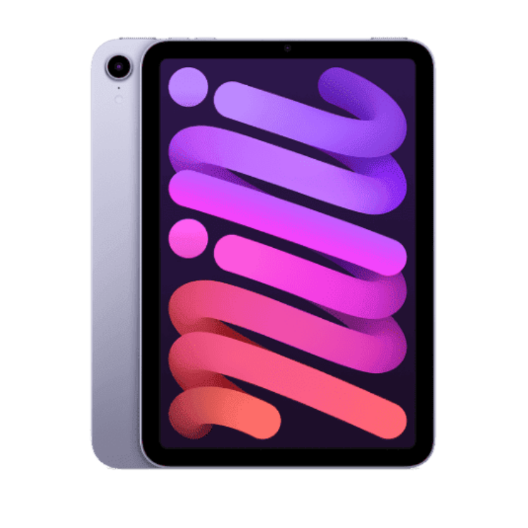 iPad mini 6 256 GB Viola Wi-Fi + Cell B Ricondizionato