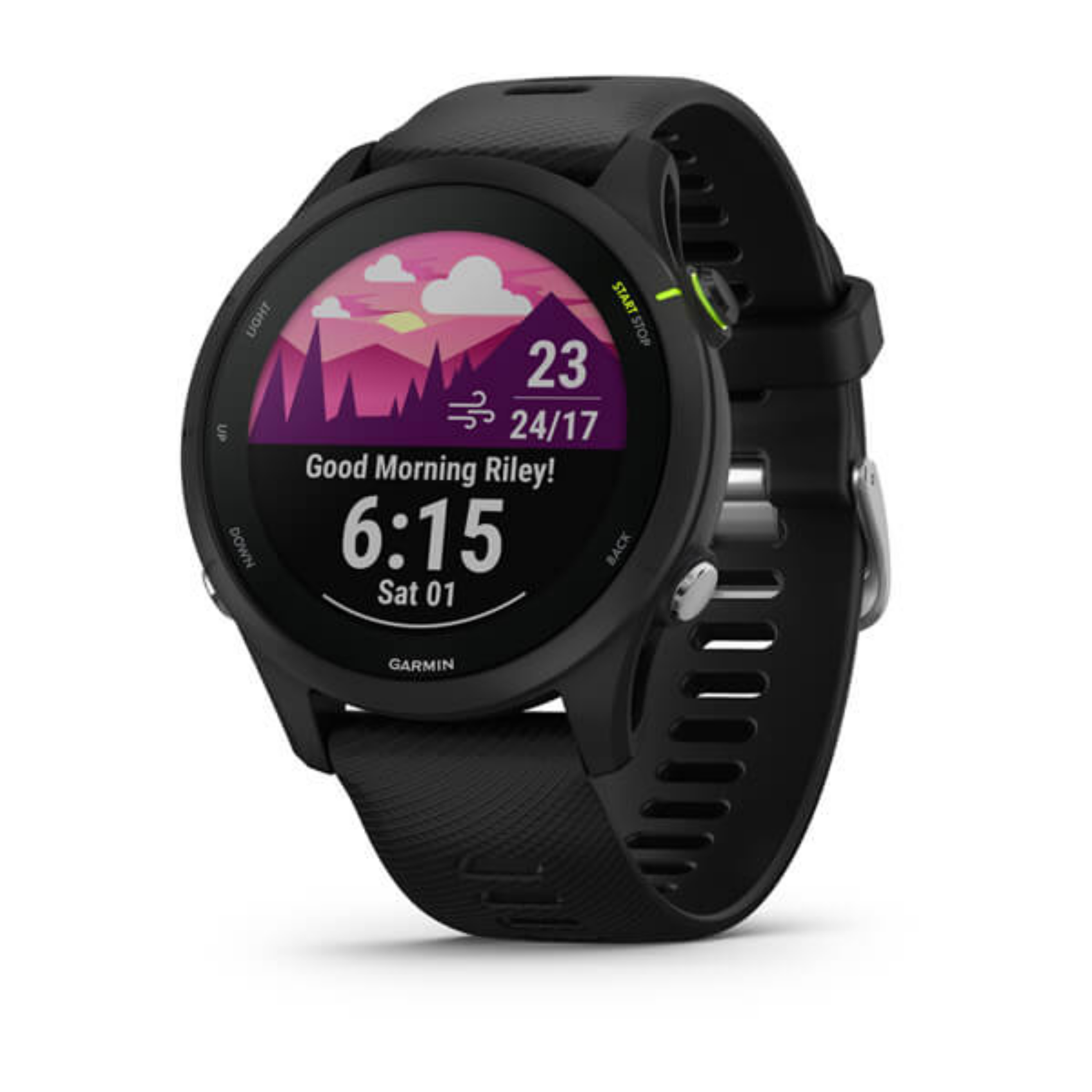 Garmin Forerunner 255 Music, 010-02641-30, MIP, screen, 4 GB, GPS, 49 g