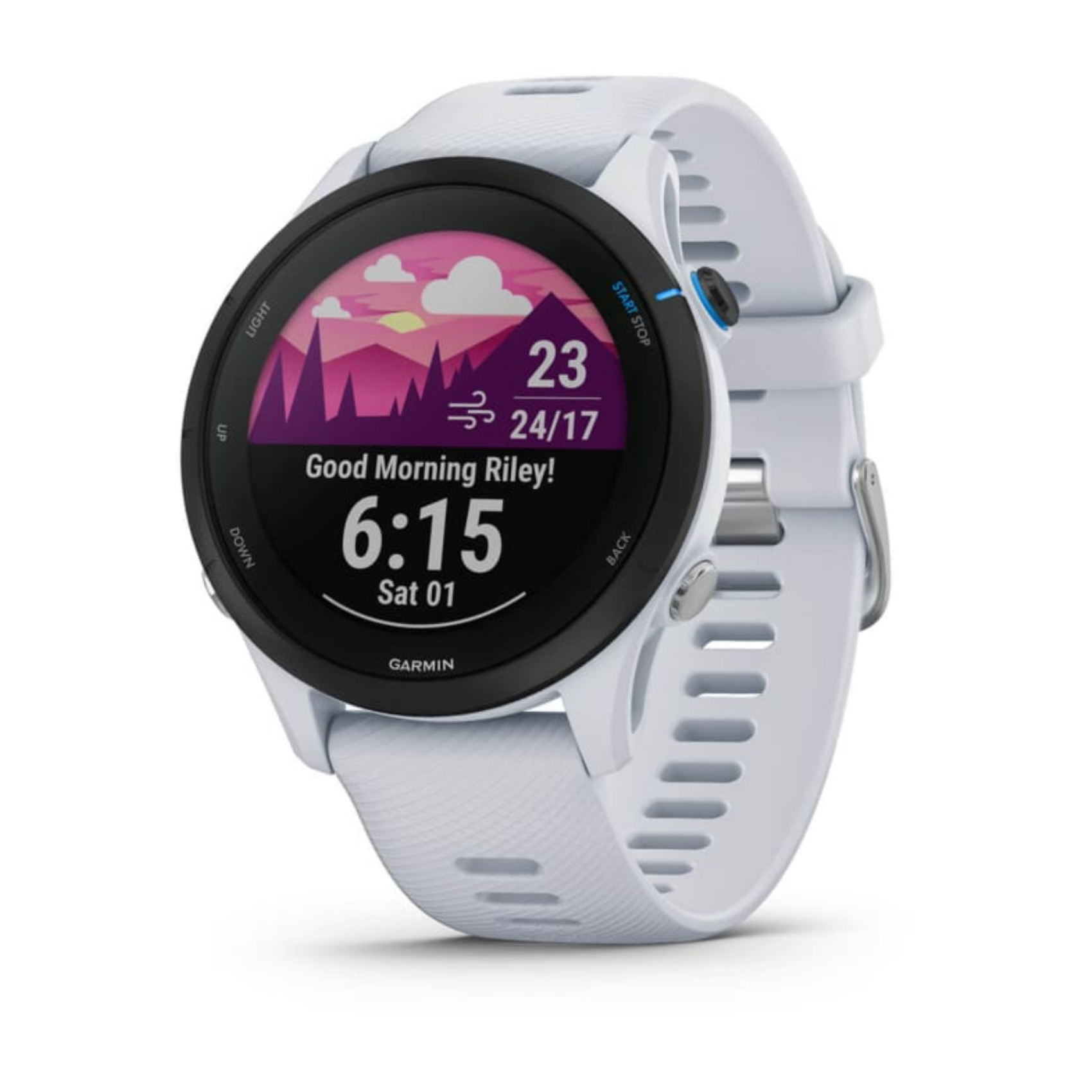 Garmin Forerunner 255 Music, 010-02641-31, MIP, screen, 2 GB, GPS, 49 g