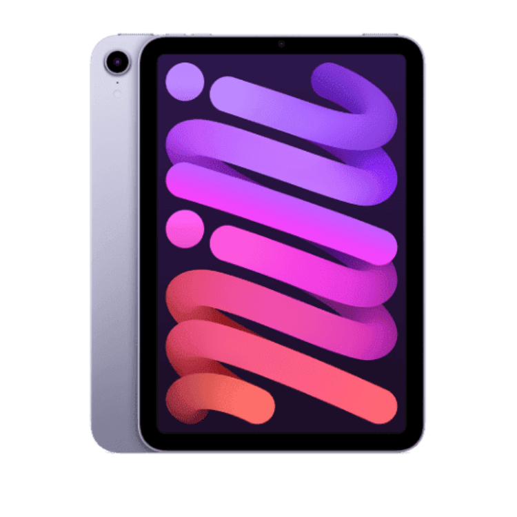iPad mini 6 256 GB Viola Wi-Fi + Cell B Ricondizionato